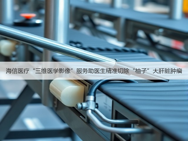 海信医疗“三维医学影像”服务助医生精准切除“柚子”大肝脏肿瘤(图3) 海信医疗“三维医学影像”服务助医生精准切除“柚子”大肝脏肿瘤(图3)