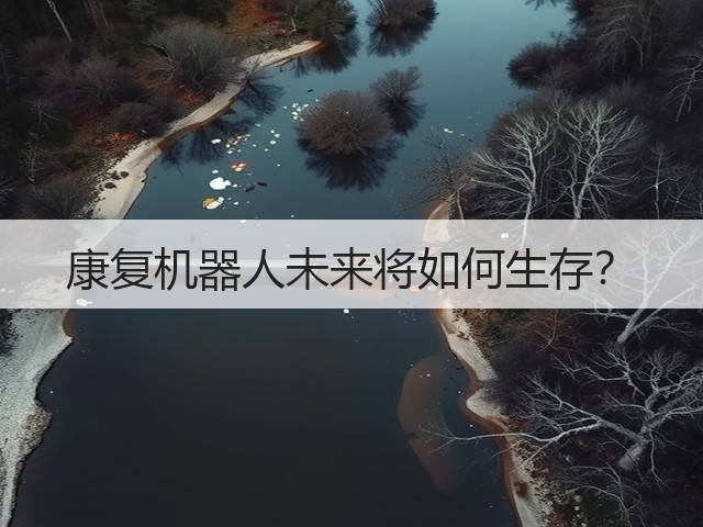康复机器人未来将如何生存?(图1) 康复机器人未来将如何生存?(图1)