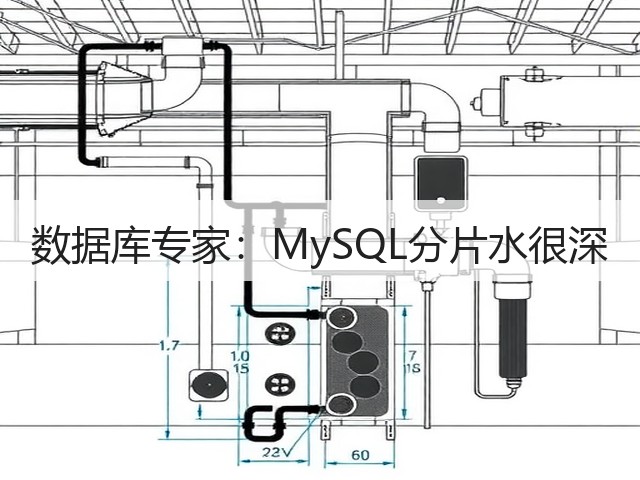 数据库专家：MySQL分片水很深(图2)
