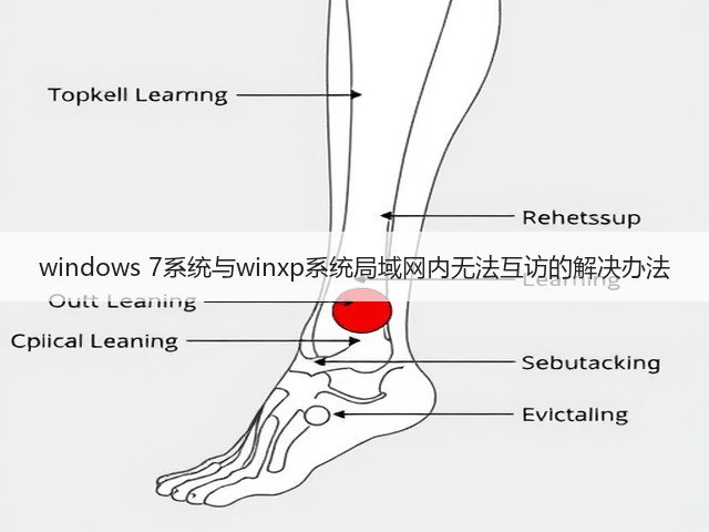 windows 7系统与winxp系统局域网内无法互访的解决办法(图3) windows 7系统与winxp系统局域网内无法互访的解决办法(图3)
