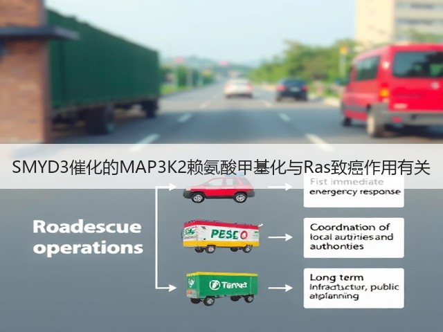SMYD3催化的MAP3K2赖氨酸甲基化与Ras致癌作用有关(图2)