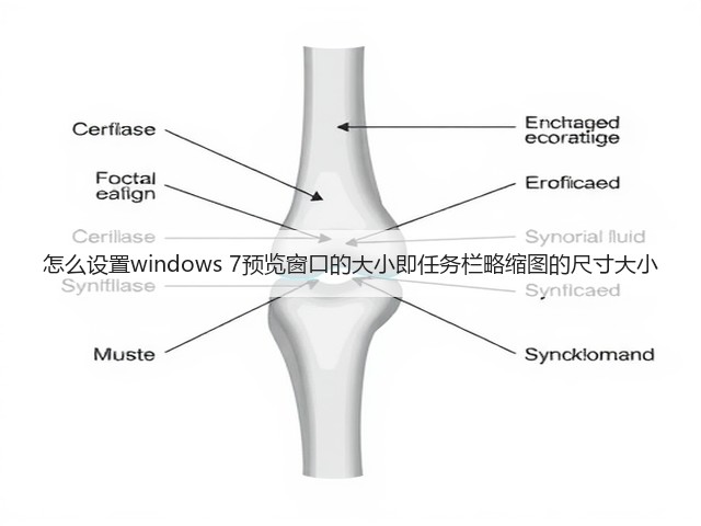 怎么设置windows 7预览窗口的大小即任务栏略缩图的尺寸大小(图2) 怎么设置windows 7预览窗口的大小即任务栏略缩图的尺寸大小(图2)