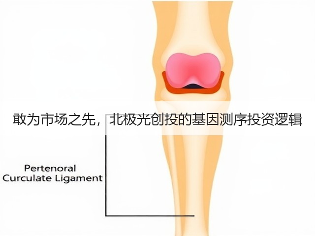 敢为市场之先,北极光创投的基因测序投资逻辑(图1) 敢为市场之先,北极光创投的基因测序投资逻辑(图1)