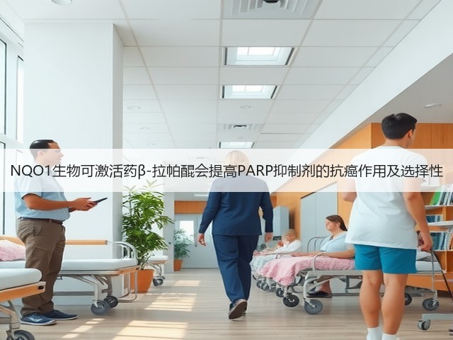 NQO1生物可激活药β-拉帕醌会提高PARP抑制剂的抗癌作用及选择性(图1) NQO1生物可激活药β-拉帕醌会提高PARP抑制剂的抗癌作用及选择性(图1)