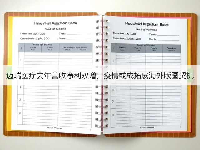 迈瑞医疗去年营收净利双增，疫情或成拓展海外版图契机(图3)