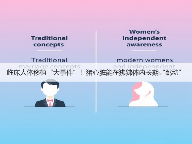 临床人体移植“大事件”!猪心脏能在狒狒体内长期“跳动”(图1) 临床人体移植“大事件”!猪心脏能在狒狒体内长期“跳动”(图1)