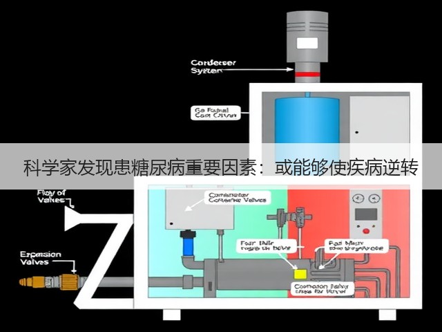 科学家发现患糖尿病重要因素:或能够使疾病逆转(图3) 科学家发现患糖尿病重要因素:或能够使疾病逆转(图3)