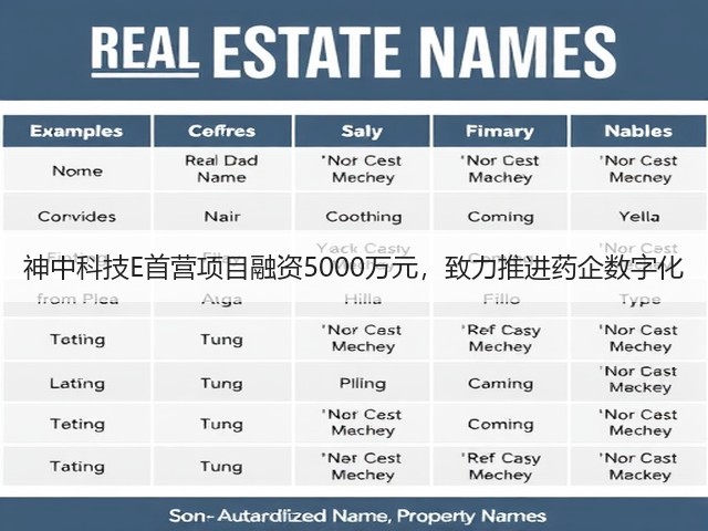 神中科技E首营项目融资5000万元,致力推进药企数字化(图1) 神中科技E首营项目融资5000万元,致力推进药企数字化(图1)