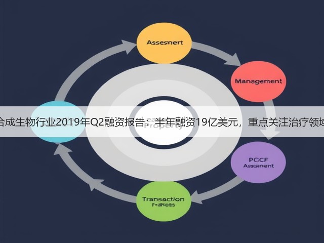 合成生物行业2019年Q2融资报告:半年融资19亿美元,重点关注治疗领域(图2) 合成生物行业2019年Q2融资报告:半年融资19亿美元,重点关注治疗领域(图2)
