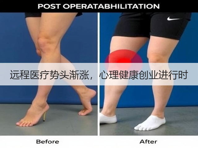 远程医疗势头渐涨,心理健康创业进行时(图1) 远程医疗势头渐涨,心理健康创业进行时(图1)