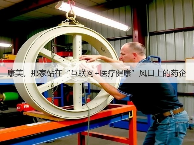康美,那家站在“互联网+医疗健康”风口上的药企(图3) 康美,那家站在“互联网+医疗健康”风口上的药企(图3)