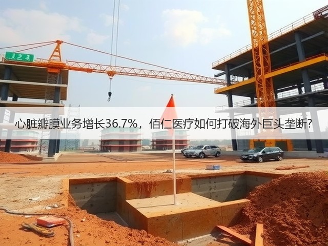 心脏瓣膜业务增长36.7%,佰仁医疗如何打破海外巨头垄断?(图3) 心脏瓣膜业务增长36.7%,佰仁医疗如何打破海外巨头垄断?(图3)
