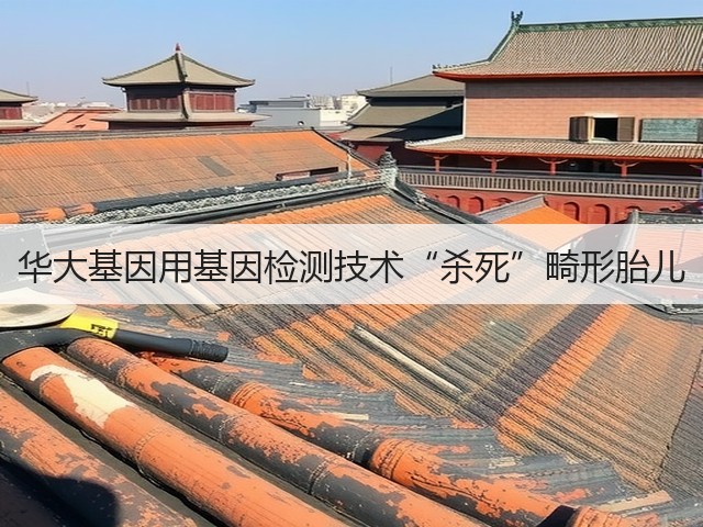 华大基因用基因检测技术“杀死”畸形胎儿(图3) 华大基因用基因检测技术“杀死”畸形胎儿(图3)