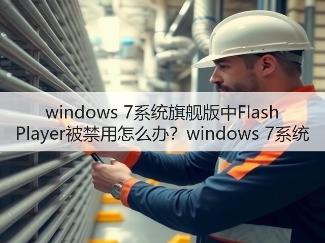 windows 7系统旗舰版中Flash Player被禁用怎么办？windows 7系统(图2)
