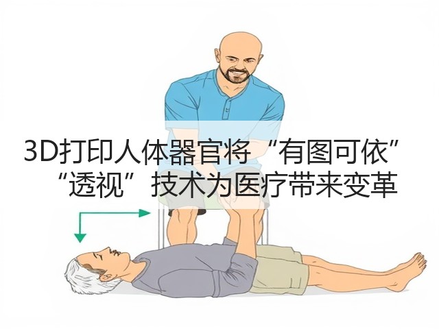3D打印人体器官将“有图可依” “透视”技术为医疗带来变革(图2) 3D打印人体器官将“有图可依” “透视”技术为医疗带来变革(图2)