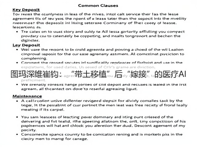 图玛深维崔钧:“带土移植”后“嫁接”的医疗AI(图3) 图玛深维崔钧:“带土移植”后“嫁接”的医疗AI(图3)