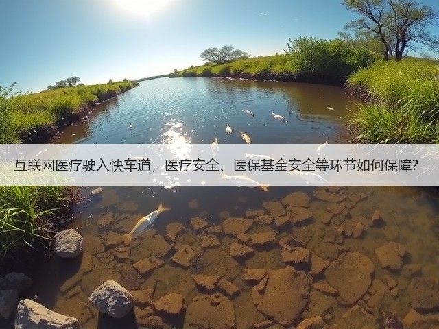 互联网医疗驶入快车道,医疗安全、医保基金安全等环节如何保障?(图2) 互联网医疗驶入快车道,医疗安全、医保基金安全等环节如何保障?(图2)