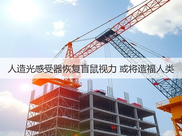 人造光感受器恢复盲鼠视力 或将造福人类(图2) 人造光感受器恢复盲鼠视力 或将造福人类(图2)