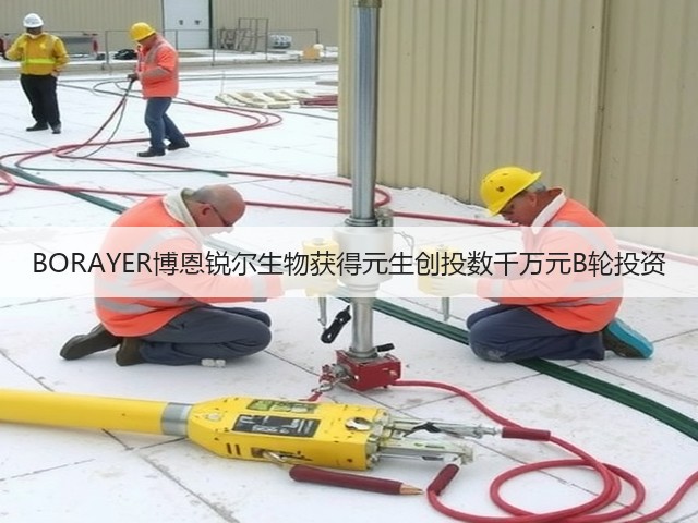 BORAYER博恩锐尔生物获得元生创投数千万元B轮投资(图3) BORAYER博恩锐尔生物获得元生创投数千万元B轮投资(图3)