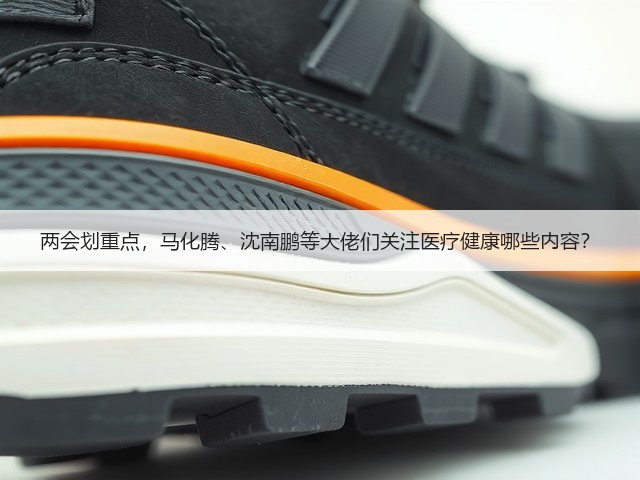 两会划重点,马化腾、沈南鹏等大佬们关注医疗健康哪些内容?(图2) 两会划重点,马化腾、沈南鹏等大佬们关注医疗健康哪些内容?(图2)