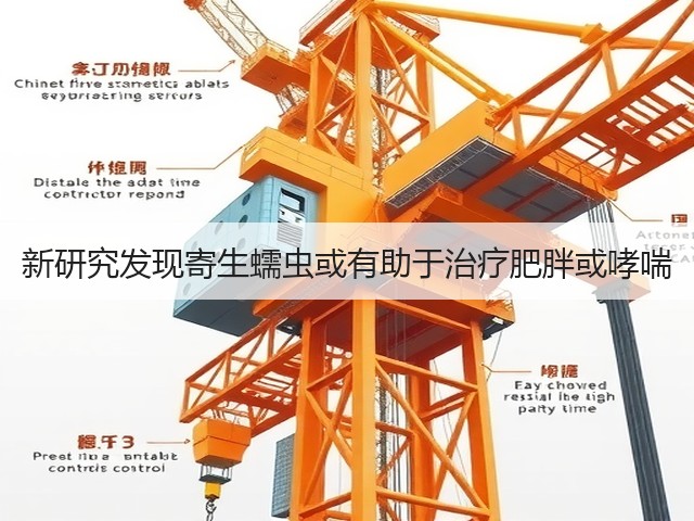 新研究发现寄生蠕虫或有助于治疗肥胖或哮喘(图2) 新研究发现寄生蠕虫或有助于治疗肥胖或哮喘(图2)