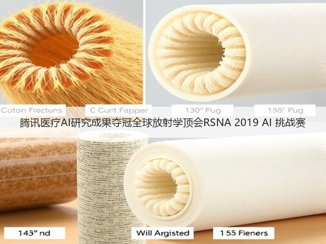 腾讯医疗AI研究成果夺冠全球放射学顶会RSNA 2019 AI 挑战赛(图3) 腾讯医疗AI研究成果夺冠全球放射学顶会RSNA 2019 AI 挑战赛(图3)