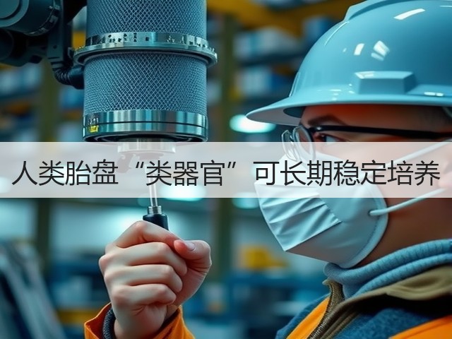人类胎盘“类器官”可长期稳定培养(图1) 人类胎盘“类器官”可长期稳定培养(图1)