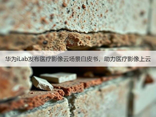 华为iLab发布医疗影像云场景白皮书,助力医疗影像上云(图1) 华为iLab发布医疗影像云场景白皮书,助力医疗影像上云(图1)
