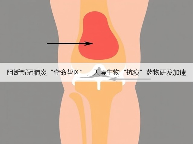 阻断新冠肺炎“夺命帮凶”,天境生物“抗疫”药物研发加速(图2) 阻断新冠肺炎“夺命帮凶”,天境生物“抗疫”药物研发加速(图2)
