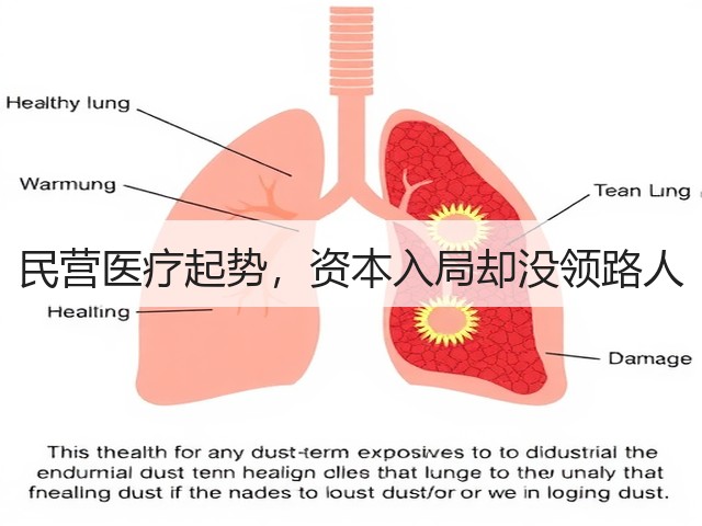 民营医疗起势,资本入局却没领路人(图1) 民营医疗起势,资本入局却没领路人(图1)