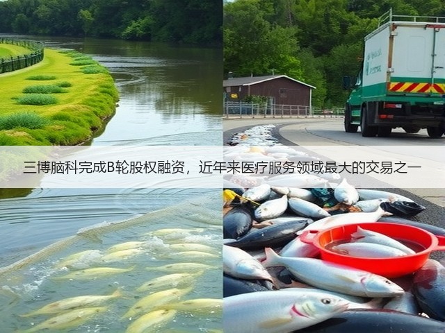 三博脑科完成B轮股权融资,近年来医疗服务领域最大的交易之一(图2) 三博脑科完成B轮股权融资,近年来医疗服务领域最大的交易之一(图2)