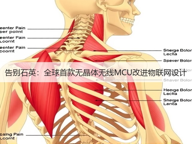 告别石英:全球首款无晶体无线MCU改进物联网设计(图1) 告别石英:全球首款无晶体无线MCU改进物联网设计(图1)