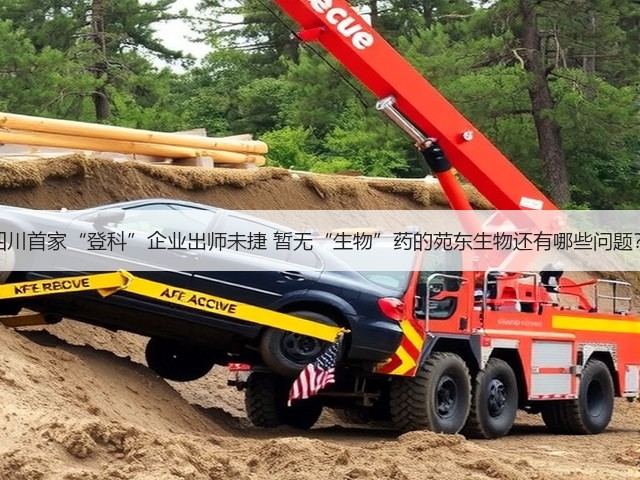 四川首家“登科”企业出师未捷 暂无“生物”药的苑东生物还有哪些问题？(图3)