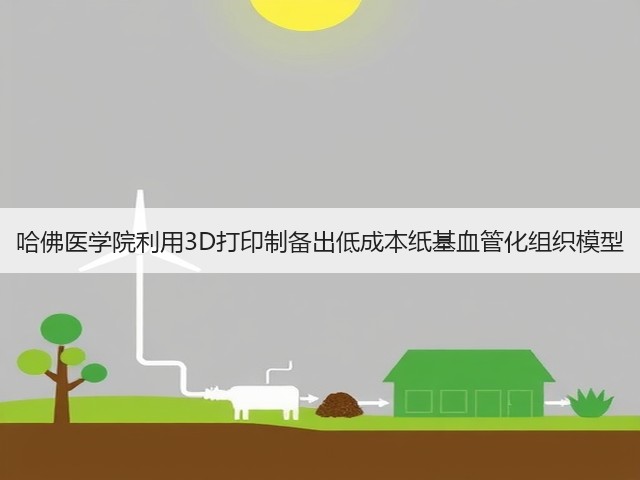哈佛医学院利用3D打印制备出低成本纸基血管化组织模型(图1) 哈佛医学院利用3D打印制备出低成本纸基血管化组织模型(图1)