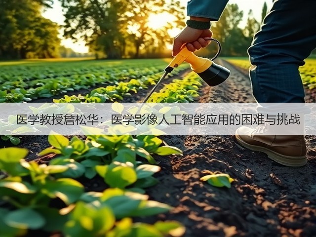 医学教授詹松华:医学影像人工智能应用的困难与挑战(图3) 医学教授詹松华:医学影像人工智能应用的困难与挑战(图3)