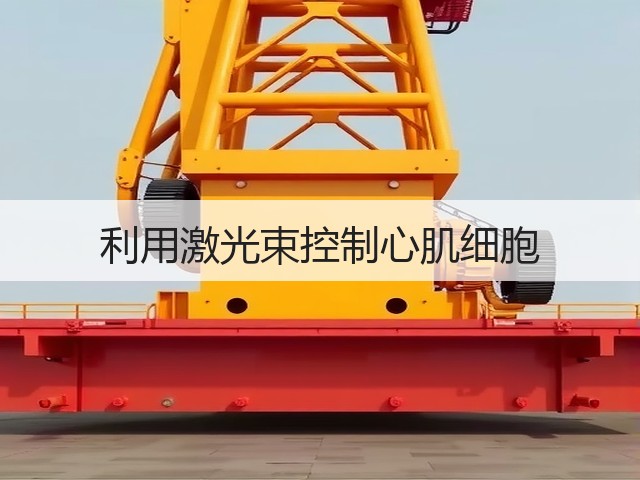 利用激光束控制心肌细胞(图2) 利用激光束控制心肌细胞(图2)
