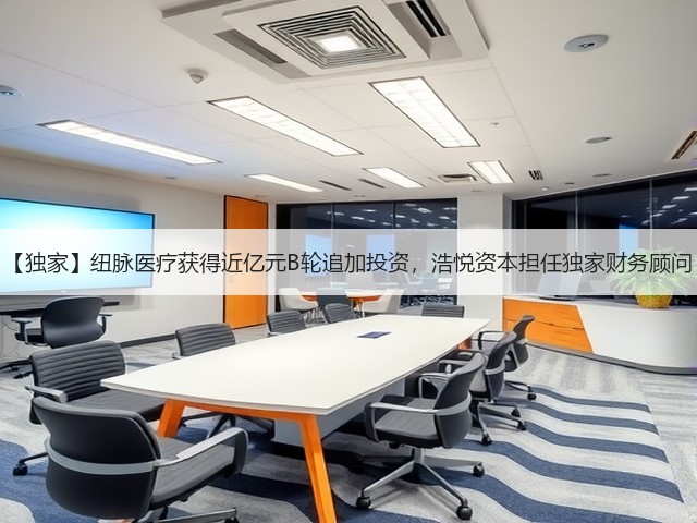 【独家】纽脉医疗获得近亿元B轮追加投资,浩悦资本担任独家财务顾问(图3) 【独家】纽脉医疗获得近亿元B轮追加投资,浩悦资本担任独家财务顾问(图3)
