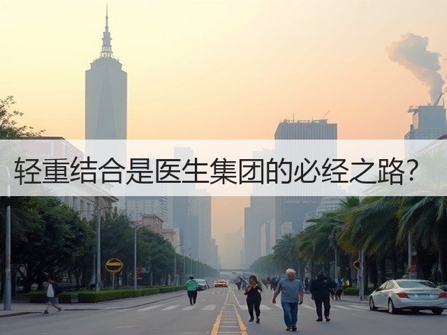 轻重结合是医生集团的必经之路?(图2) 轻重结合是医生集团的必经之路?(图2)