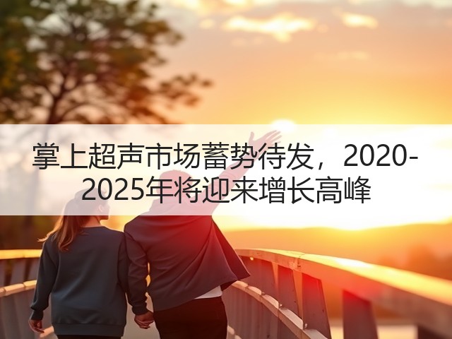 掌上超声市场蓄势待发,2020-2025年将迎来增长高峰(图3) 掌上超声市场蓄势待发,2020-2025年将迎来增长高峰(图3)