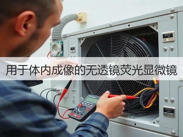 用于体内成像的无透镜荧光显微镜(图3) 用于体内成像的无透镜荧光显微镜(图3)