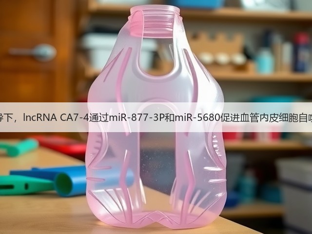 高糖诱导下,lncRNA CA7-4通过miR-877-3P和miR-5680促进血管内皮细胞自噬和凋亡(图3) 高糖诱导下,lncRNA CA7-4通过miR-877-3P和miR-5680促进血管内皮细胞自噬和凋亡(图3)