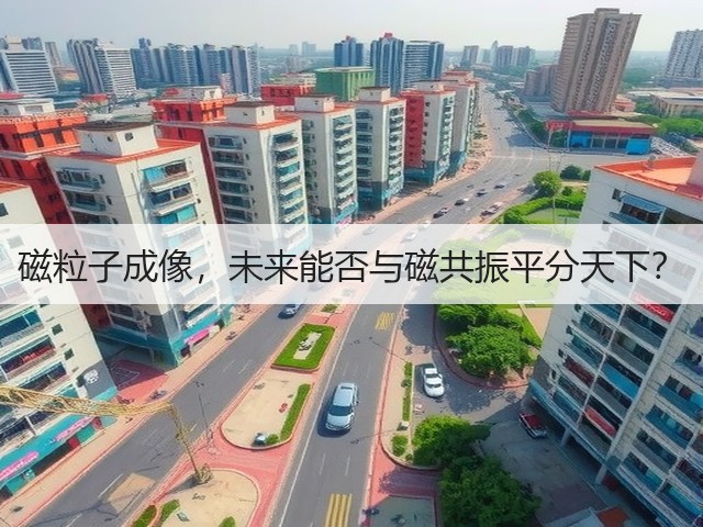 磁粒子成像,未来能否与磁共振平分天下?(图3) 磁粒子成像,未来能否与磁共振平分天下?(图3)