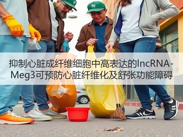 抑制心脏成纤维细胞中高表达的lncRNA-Meg3可预防心脏纤维化及舒张功能障碍(图1) 抑制心脏成纤维细胞中高表达的lncRNA-Meg3可预防心脏纤维化及舒张功能障碍(图1)