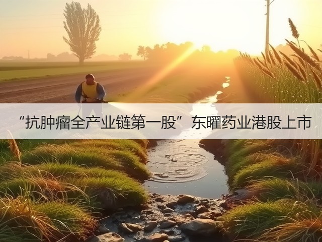 “抗肿瘤全产业链第一股”东曜药业港股上市(图2) “抗肿瘤全产业链第一股”东曜药业港股上市(图2)