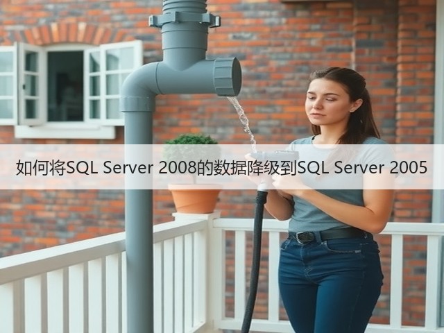 如何将SQL Server 2008的数据降级到SQL Server 2005(图3)