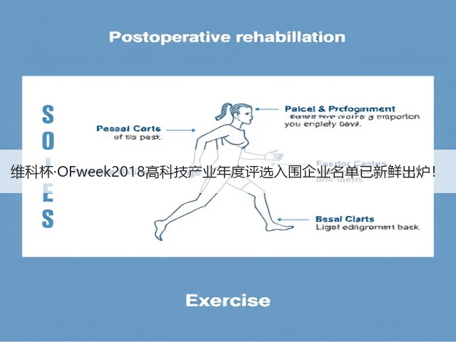 维科杯·OFweek2018高科技产业年度评选入围企业名单已新鲜出炉!(图1) 维科杯·OFweek2018高科技产业年度评选入围企业名单已新鲜出炉!(图1)