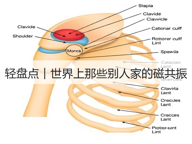 轻盘点︱世界上那些别人家的磁共振(图3) 轻盘点︱世界上那些别人家的磁共振(图3)