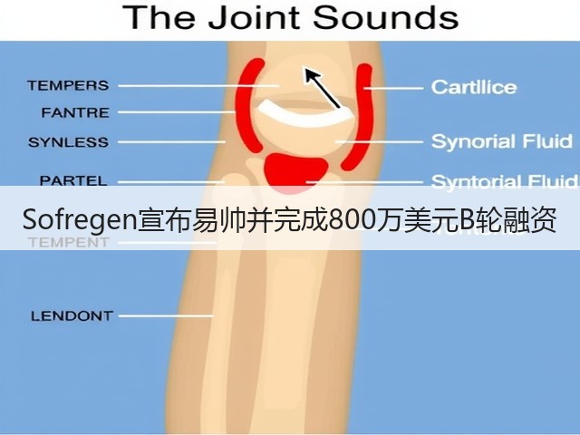 Sofregen宣布易帅并完成800万美元B轮融资(图3) Sofregen宣布易帅并完成800万美元B轮融资(图3)