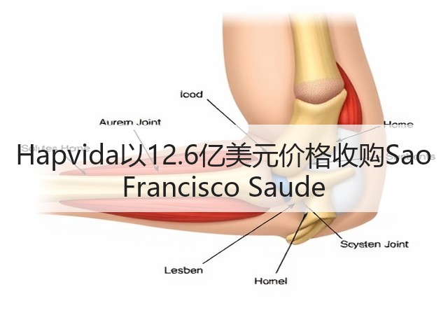 Hapvida以12.6亿美元价格收购Sao Francisco Saude(图2) Hapvida以12.6亿美元价格收购Sao Francisco Saude(图2)