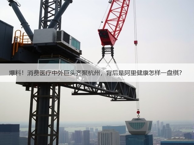 爆料!消费医疗中外巨头齐聚杭州,背后是阿里健康怎样一盘棋?(图2) 爆料!消费医疗中外巨头齐聚杭州,背后是阿里健康怎样一盘棋?(图2)